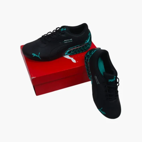 Mercedes-AMG Petronas F1 Drift Cat Decima